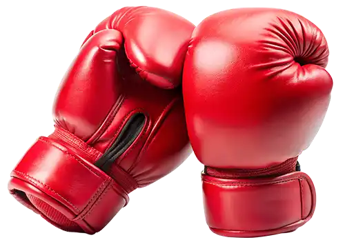 ボクシンググローブ